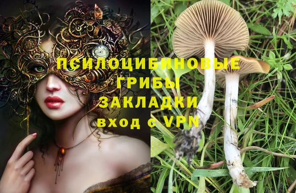 марки lsd Нея