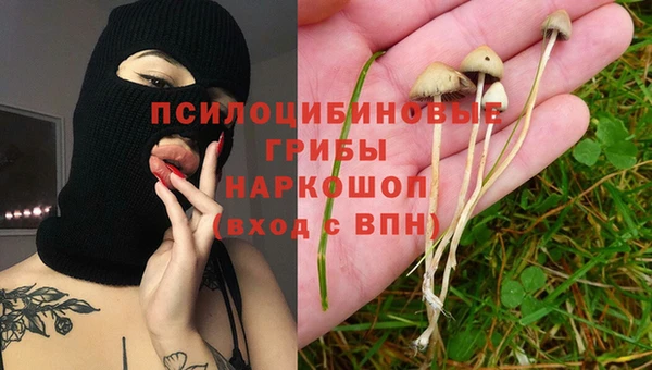 шишки Нефтегорск