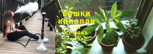 шишки Нефтегорск