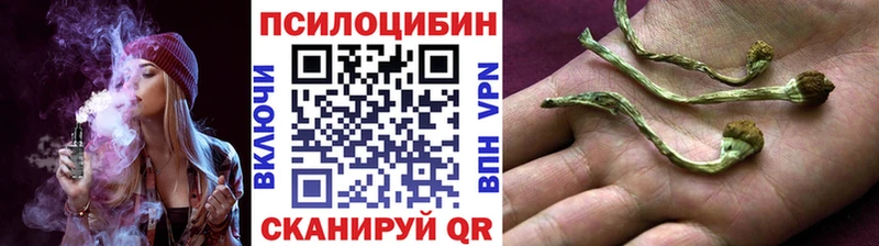 Галлюциногенные грибы ЛСД Фурманов